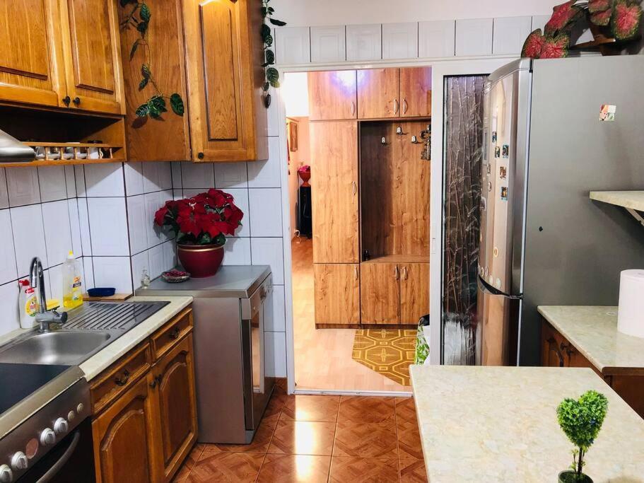 Joy City Stay Ferkel 7 Temešvár Exteriér fotografie