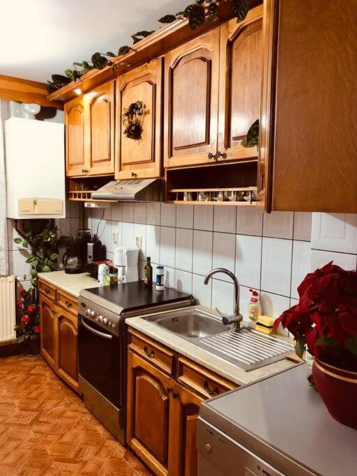 Joy City Stay Ferkel 7 Temešvár Exteriér fotografie