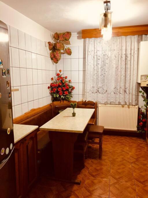 Joy City Stay Ferkel 7 Temešvár Exteriér fotografie